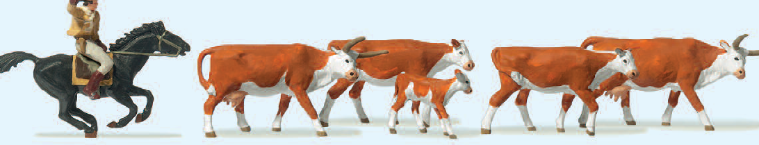 Langhornrinder, Cowboy zu Pferd