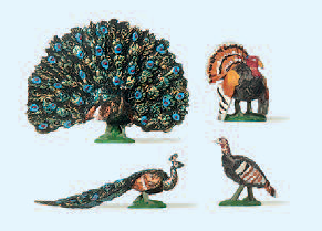 Truthahn, Pfau