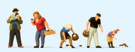 Pilzsucher