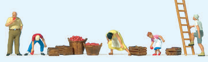 Apfelernte