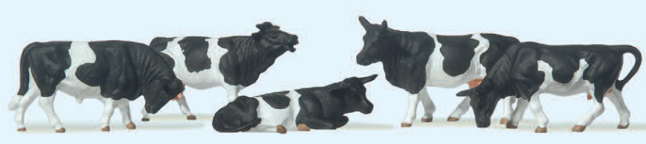 Kühe