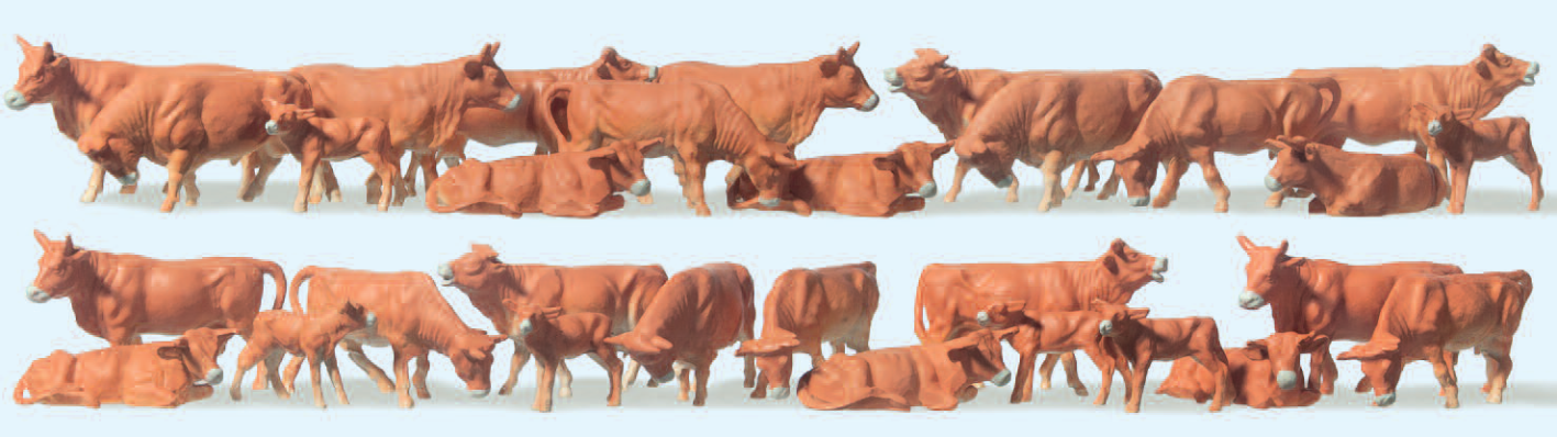 Kühe, braun. 30 Figuren