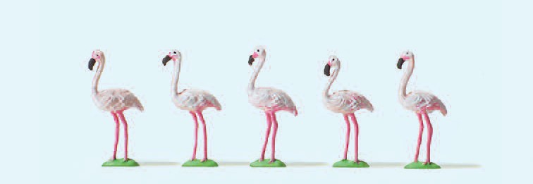Flamingos