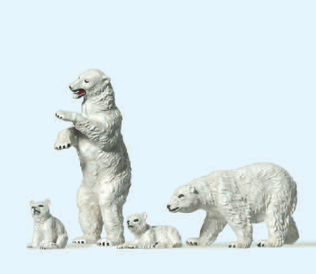 Eisbären