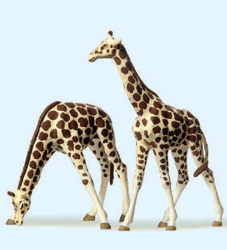 Giraffen