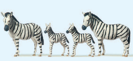 Zebras