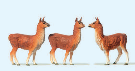 Lamas