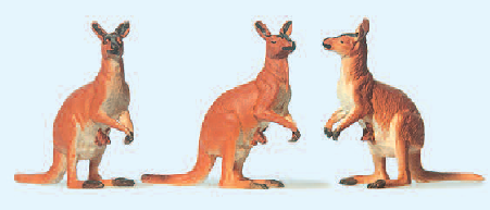 Kängurus