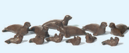Seehunde