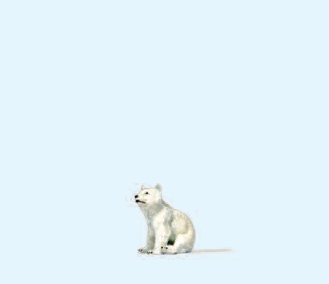 Junger Eisbär