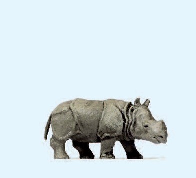 Junges indisches Panzernashorn