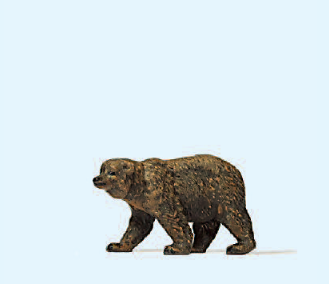 Braunbär