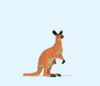 Känguruh