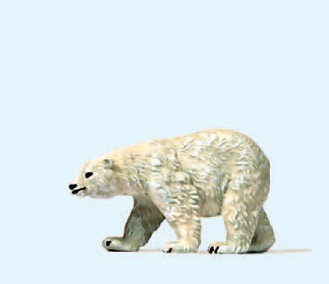 Eisbär