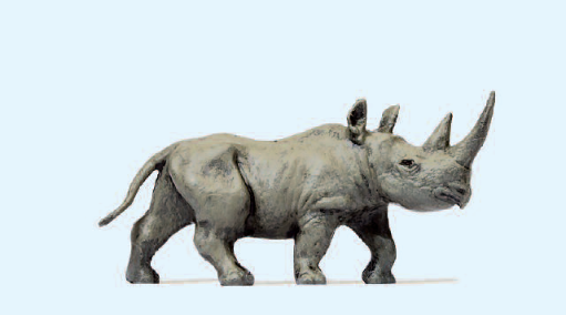 Afrikanisches Nashorn