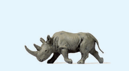 Afrikanisches Nashorn