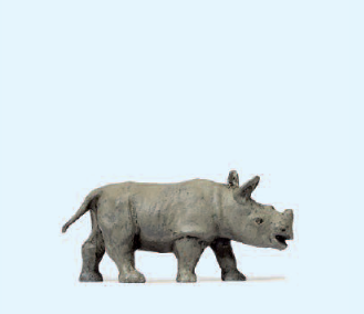 Junges afrikanisches Nashorn
