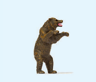 Braunbär