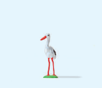 Storch
