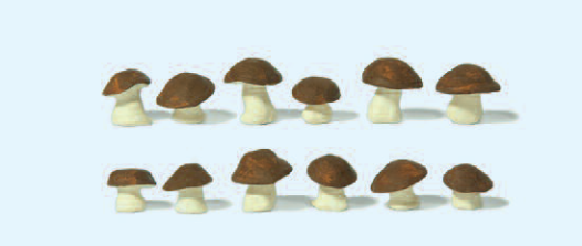 Steinpilze