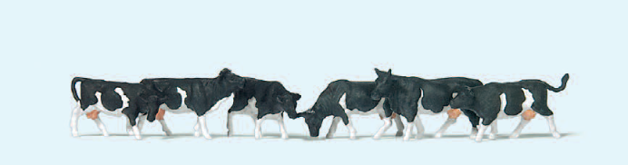 Kühe schwarz gefleckt