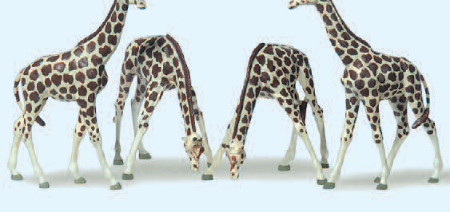 Giraffen